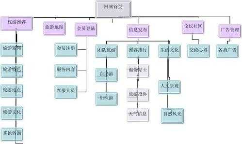 分析网站结构（分析网站结构设计）