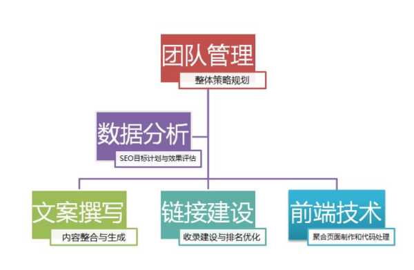 正规seo团队一般都有哪些组成（正规seo团队一般都有哪些组成的）